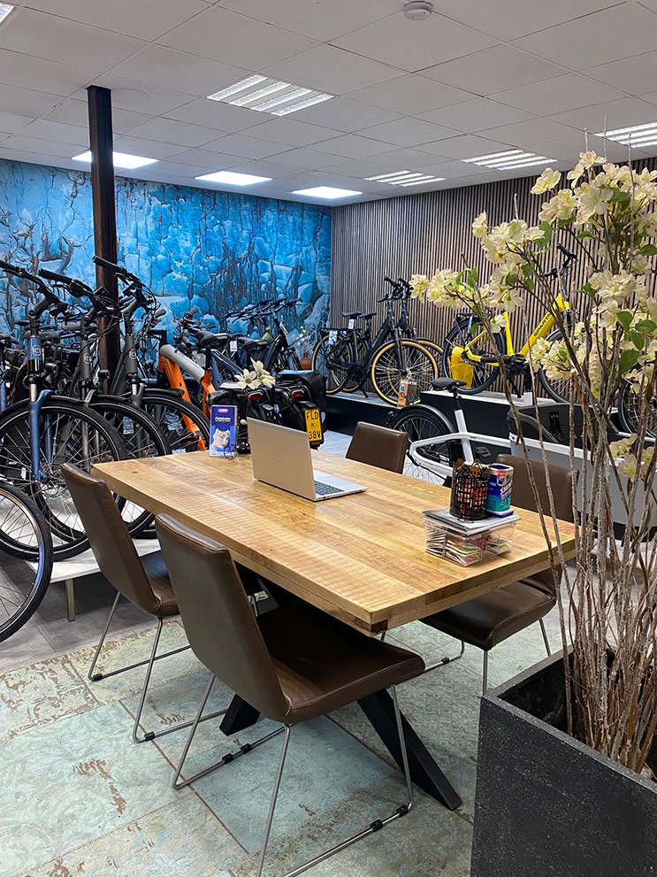 E bike arnhem